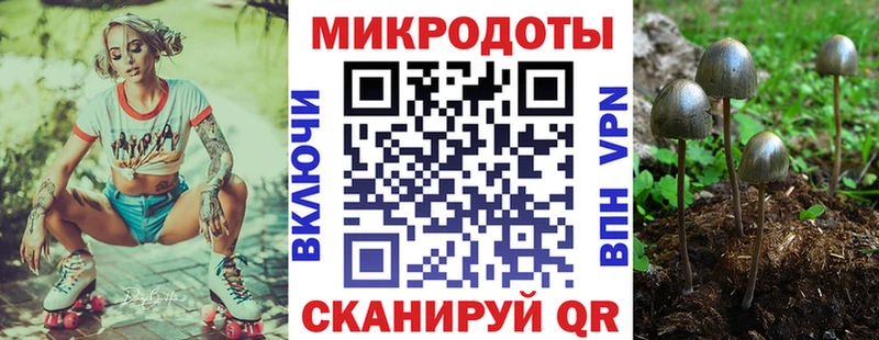 Галлюциногенные грибы Cubensis  Сковородино 
